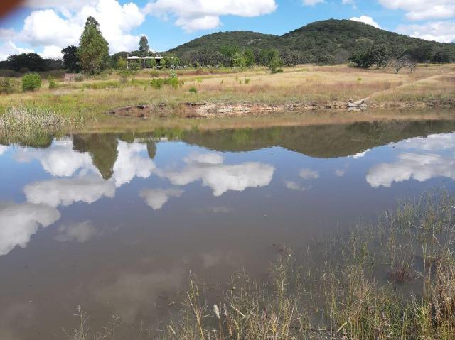 Rancho en venta en Dolores Hidalgo Guanajuato GPS