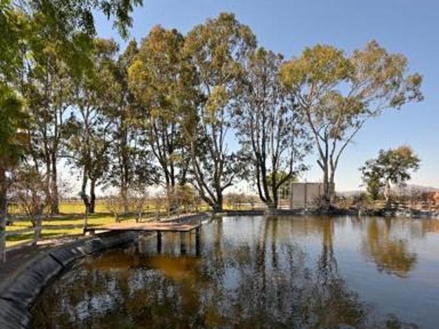 Rancho en Venta en Dr Mora Guanajuato