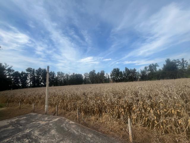 Rancho en Venta en El Salitre Jalisco
