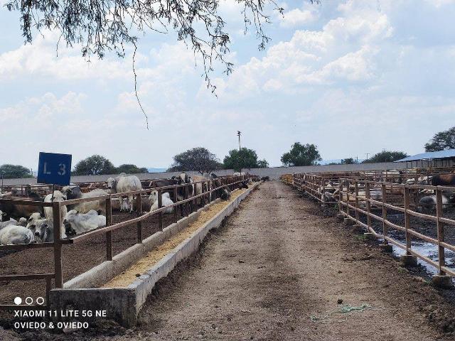 Rancho en Venta en Ezequiel Montes, Quer?taro