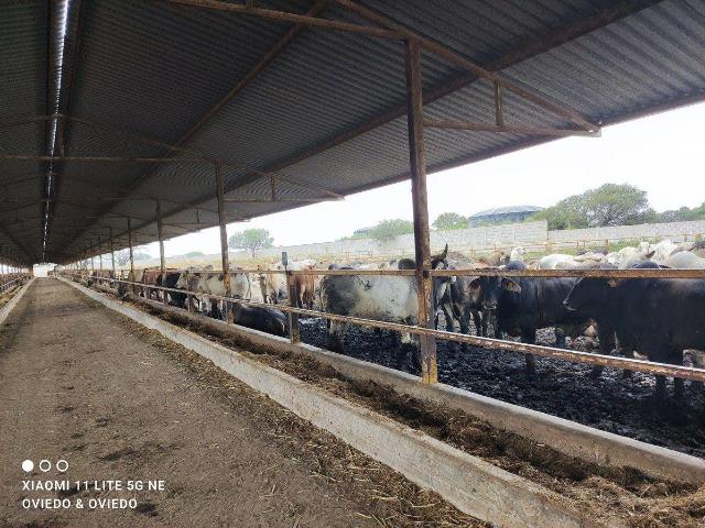 Rancho en Venta en Ezequiel Montes, Quer?taro