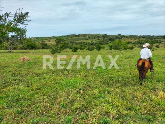 Rancho en venta en Ozuluama Veracruz