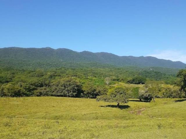 RANCHO EN VENTA EN LLERA DE CANALES, TAMAULIPAS A solo 4 km de El Encino