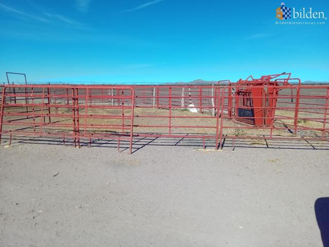 Rancho en Venta en Montemorelos Durango