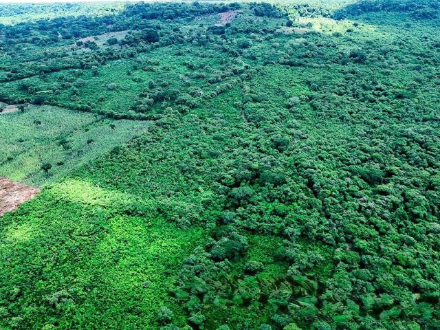 RANCHO EN VENTA EN METLALTOYUCA, FCO Z MENA, PUEBLA