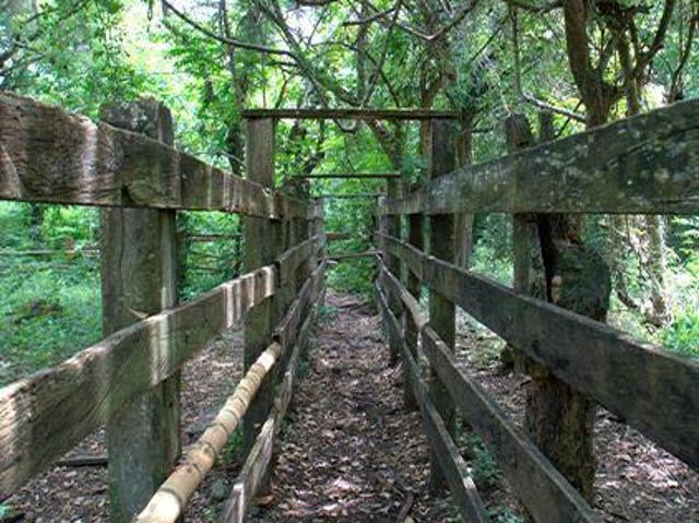 RANCHO EN VENTA EN METLALTOYUCA, FCO Z MENA, PUEBLA