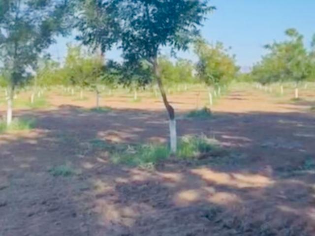 RANCHO EN VENTA EN MPIO L?ZARO C?RDENAS 29 HAS