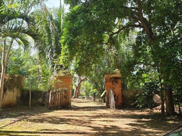 Rancho en Venta en Tekax Yucatan