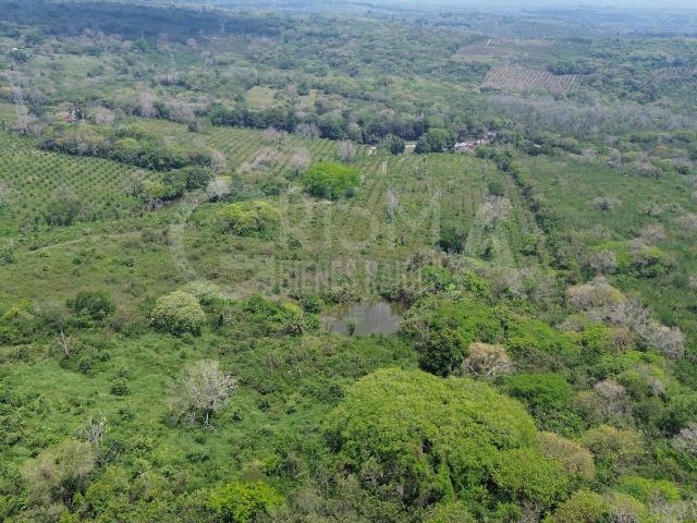 Rancho en Venta en Tepetzintla
