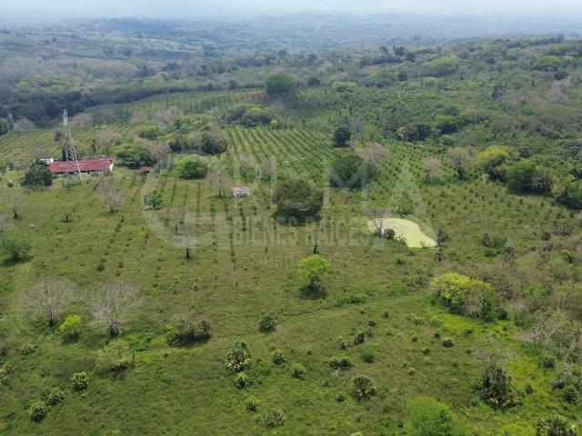 Rancho en Venta en Tepetzintla
