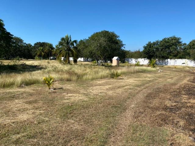 RANCHO EN VENTA EN UMAN, DZIBIKAK, 4 HECTAREAS