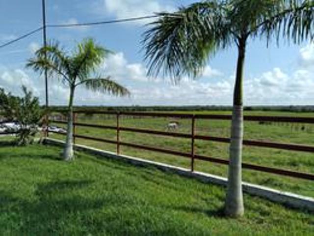 Rancho en Venta Ébano