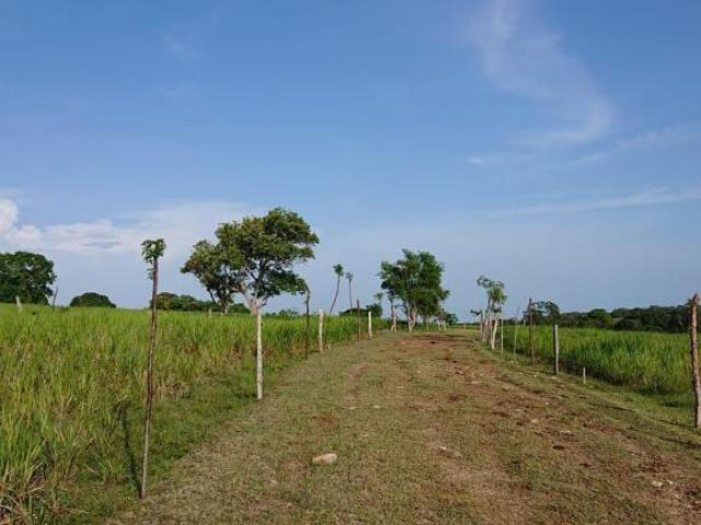RANCHO EN VENTA Ejido Palihuiche, Ozuluama, Veracruz