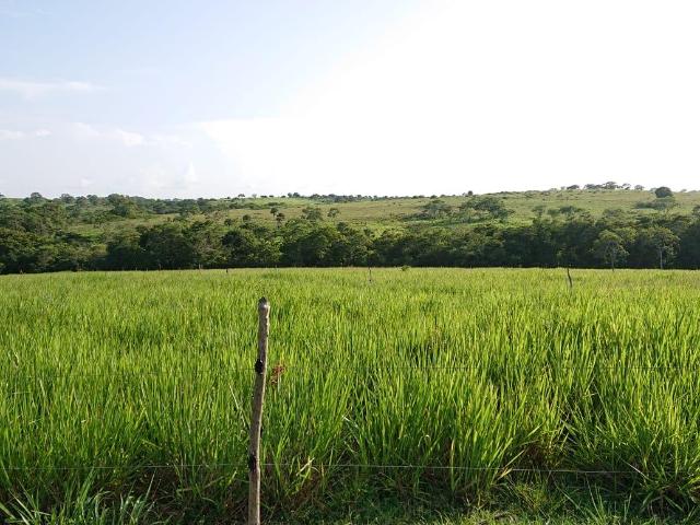 RANCHO EN VENTA Ejido Palihuiche, Ozuluama, Veracruz