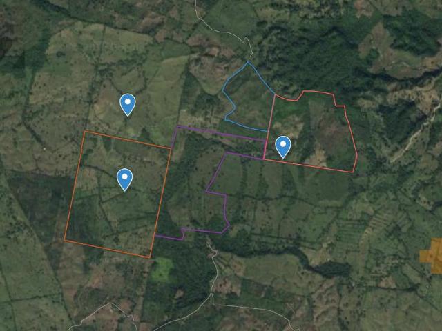 Rancho En Venta Hueytamalco Puebla. Teziutl?n, Con Producci?n De C?tricos Y Ganado
