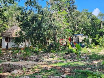 RANCHO EN VENTA LEONA VICARIO 10 HECT?REAS ARBOLES FRUTALES