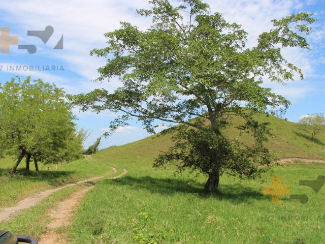 Rancho En Venta Puebla. Teziutl?n