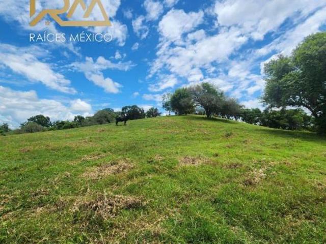 RANCHO EN VENTA TEMPOAL VER
