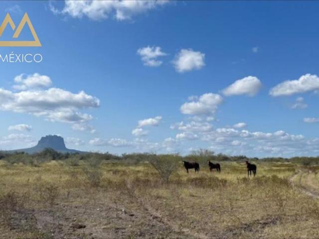 RANCHO EN VENTA VILLA GONZALEZ