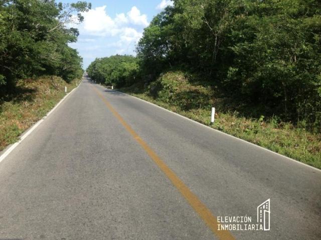 Venta de Rancho en Sudzal Yucat?n, M?xico | 101 Hect?reas
