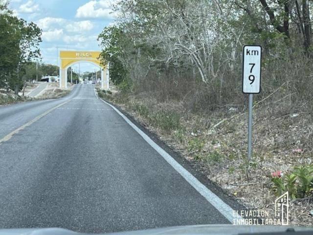 Venta de Rancho en Sudzal Yucat?n, M?xico | 101 Hect?reas