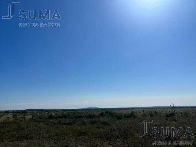 Rancho el Carmen en Venta, Aldama Tamaulipas