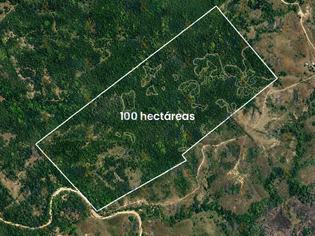 Rancho Eucalipto Oaxaca En Venta