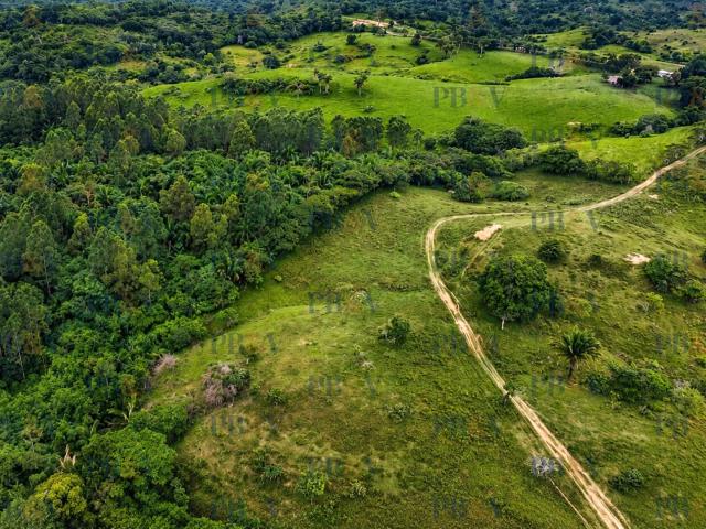 Rancho Eucalipto Oaxaca En Venta