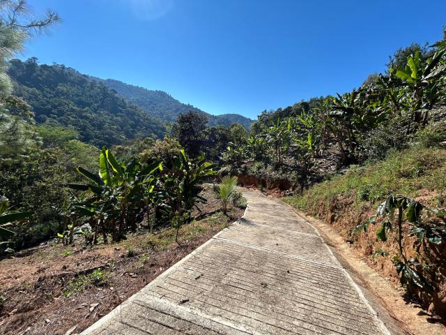 Rancho La Palma