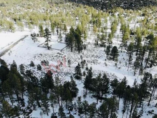 RANCHO LAGUINITAS EN VENTA 20 HAS EN TECATE BAJA CALIFORNIA