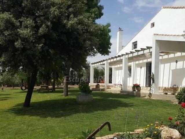 Rancho Nuevo
