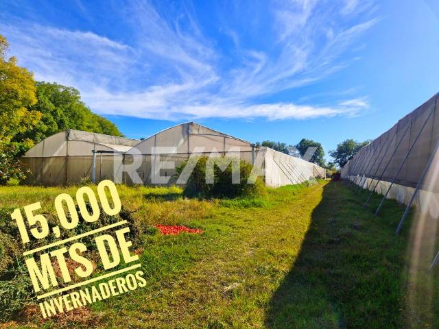 RANCHO SAN SEBASTIÁN Inversión agrícola con infraestructura activa