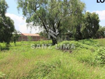 Rancho Seco: Terrenos amplios para uso habitacional, campestre o comercial