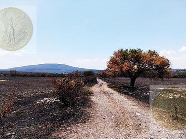 Rancho productivo
