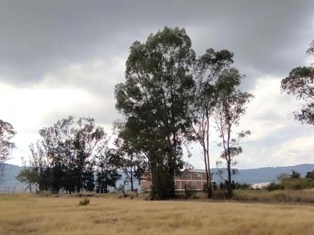 RANCHO Y CASA DE CAMPO CON REPRESA EN VENTA, EL ABROJO, IXTAPAN DE LA SAL, AUTOP. TENANGO IXTAPAN