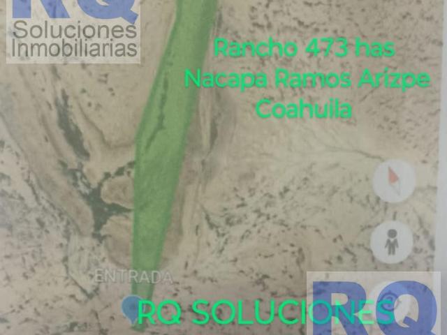 Rancho VENTA agricola de riego y ganadero Ramos Arizpe Coahuila