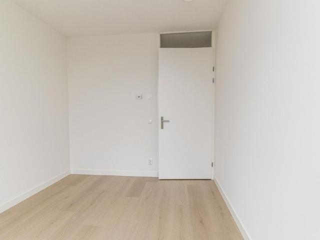 Randveen 608