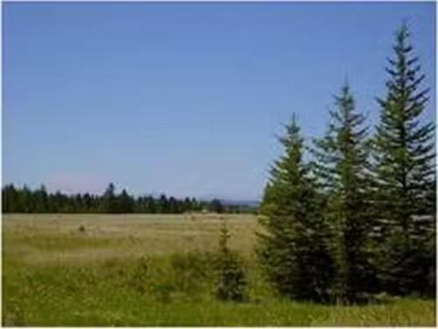 Range Road 55, Rural Mountain View County, AB, T0G 1X0 vacan.