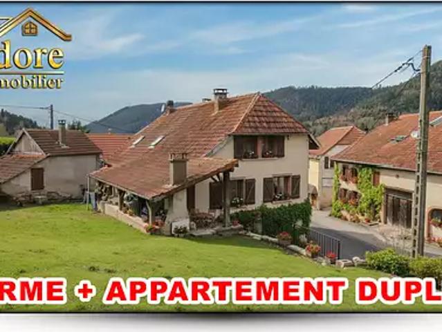Raon sur Plaine 88110 Achat / Vente maison 11 pièces t11