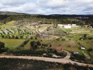 Rabo fundeiro Terreno idílico com água abundante e construção rústica