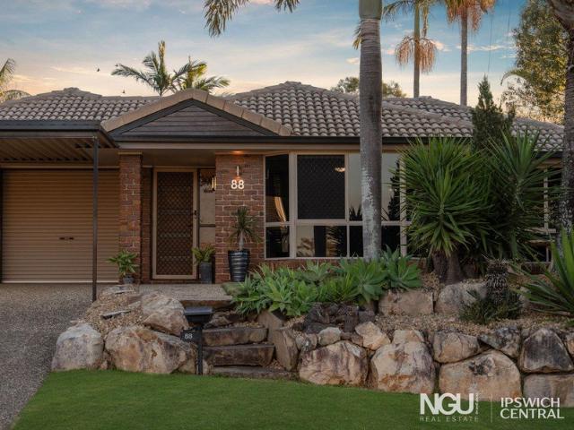 RACEVIEW'S BEST POCKET WITH A RENOVATED KITCHEN + MASSIVE BACKYARD + FOUR CAR ACCOMMODATION!