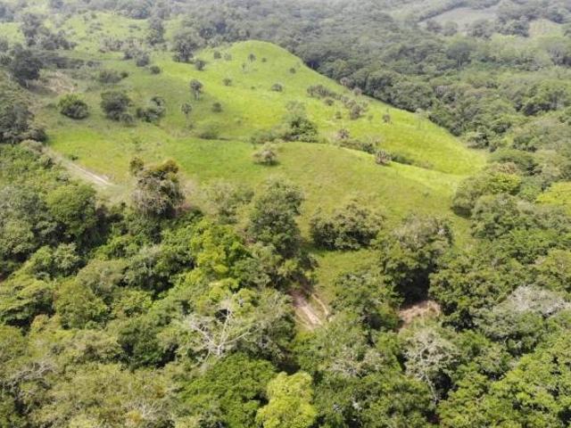 RACHO EN VENTA 184 HAS UBICADAS EN EL NARANJAL, TAMIAHUA VERACRUZ