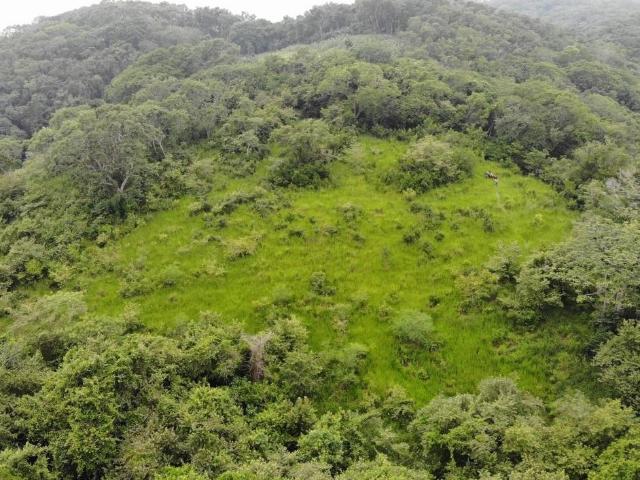 RACHO EN VENTA 184 HAS UBICADAS EN EL NARANJAL, TAMIAHUA VERACRUZ