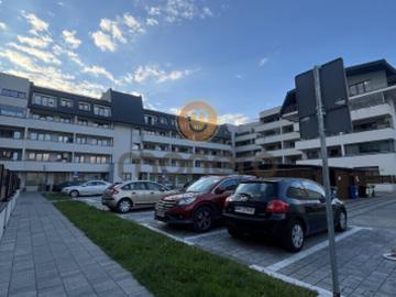 Radom, Wolność