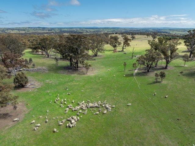 'Raeview' Picturesque Privacy in O'Connell!