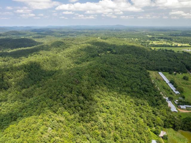 Ragweed Valley Road