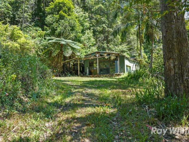 Rainforest Bush Block with Shed & Creek Tweed Valley NSW