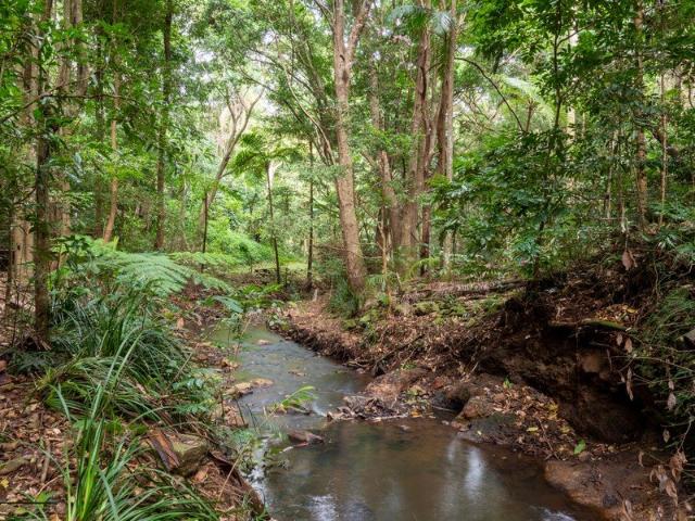 Rainforest Retreat Build Your Dream in Beautiful Flaxton