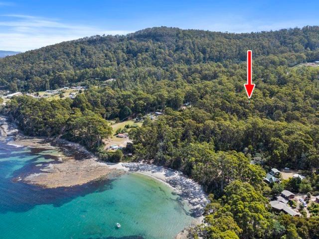 Rainforest Retreat with Creek and Cottage, Steps from Pirates Bay