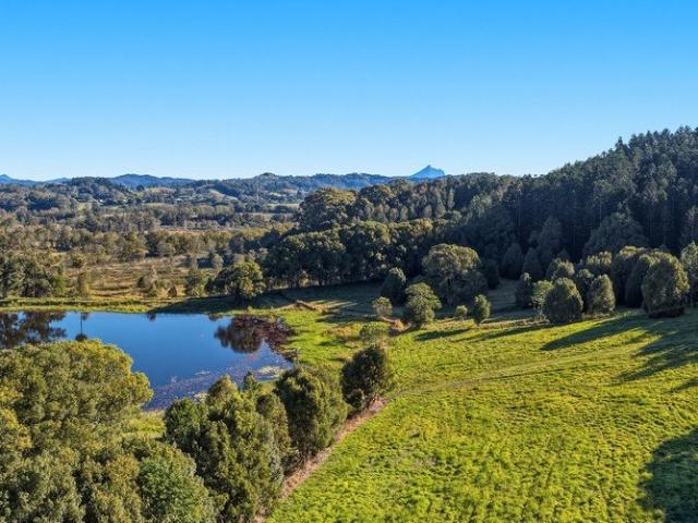 Rainforest Ridge 70 hectares. Five lots. Four dwelling entitlements. One rare opportunity
